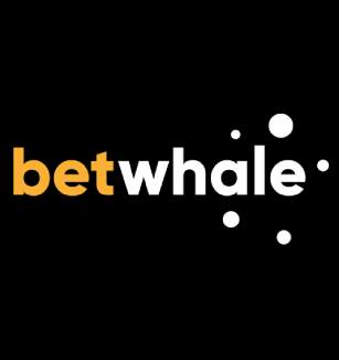 Einführung in das Betwhale Casino 1