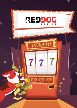 Red Dog Casino Bewertung 2